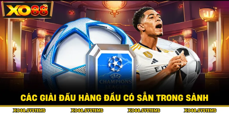 Thể Thao Trực Tuyến - Trận Đấu Hấp Dẫn, Đặt Kèo Trúng Lớn 2 Các giải đấu hàng đầu có sẵn trong sảnh