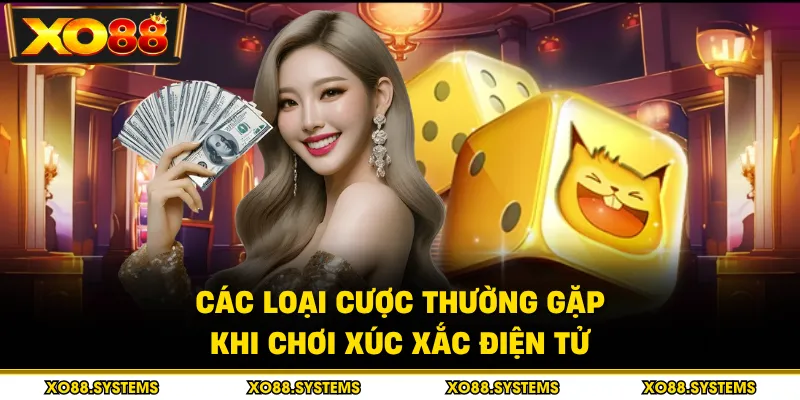 Tài Xỉu 2 Các loại cược thường gặp khi chơi xúc xắc điện tử