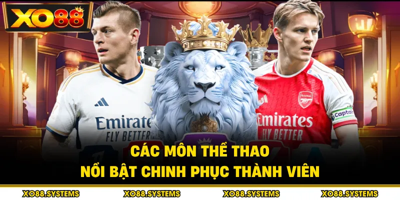 Thể Thao 2 Các môn thể thao nổi bật chinh phục thành viên