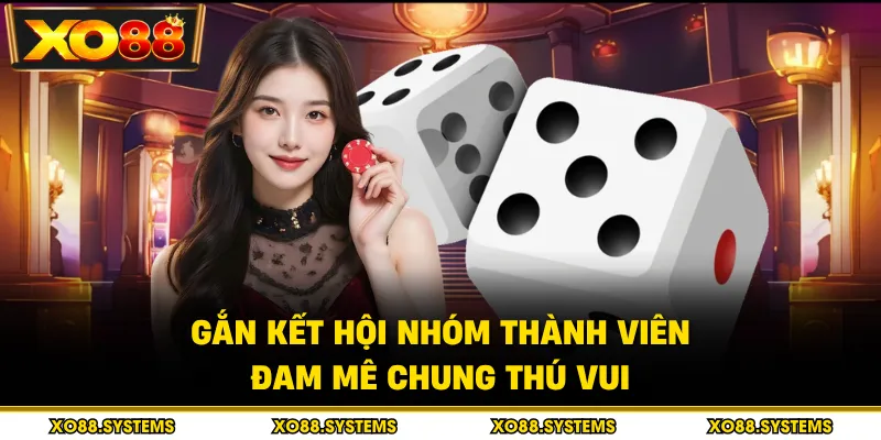 Xóc Đĩa 4 Gắn kết hội nhóm thành viên đam mê chung thú vui