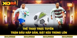 Thể Thao Trực Tuyến